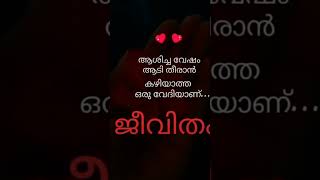 ഓരോ മനുഷ്യർക്കും അവരുടേതായ ഒരു ജീവിതം ഉണ്ട് അതു ജീവിച്ചു തന്നെ തീർക്കണം 😊😊😊