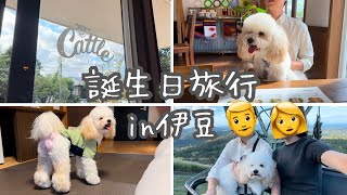 【伊豆旅行part1】『愛犬お宿』を満喫するコッカプー