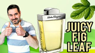 Salvatore Ferragamo Pour Homme fragrance review. Beautiful fig leaf