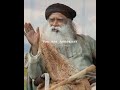 Sadhguru Hesitates To Say This... | Sadhguru Status #shorts