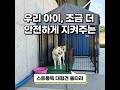 나도 내 집을 가지고 싶다. 강아지집 대형견 대형견키우기 울타리 shorts