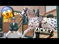 Die NEUE😱Ist sie eine Zicke?😳Schleich Video