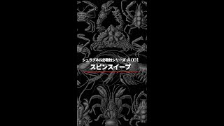 【柔術必殺技 】001 Spin Sweep スピンスイープ