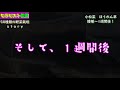 【家庭菜園】小松菜・ほうれん草の播種から1週間後の発芽まで。今回は、追肥いらずの一発肥料＜住化農業資材（株）＞を使ってます。