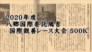 20年度八郷国際委託鳩舎・国際親善鳩レース大会500K帰還の様子