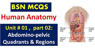 Human Anatomy MCQs |  Unit no 01 P-2 | BSN Graduates