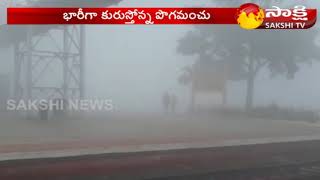 Cold Weather, Fog enhance bhimavaram's Scenic Beauty || క‌శ్మీర్ ను త‌ల‌పిస్తున్న భీమ‌వ‌రం