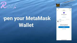How to Add a Custom ERC20 Token to MetaMask. Token used is REEF.