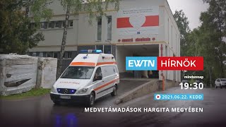 Medvetámadások Hargita megyében - 2021-06-22