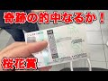 【競馬に人生賭けた大勝負】G1の的中は必然なのだろうが・・・今週も競馬楽しめました☺️【ギャン中】【Horse Racing】#競馬 #大勝負 #桜花賞