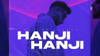 Hanji Hanji - Lofi (Slowed + Reverb) Navaan Sandhu - Heartbeat Music