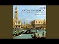 Concerto for Strings in C Minor, RV 119: III. Allegro