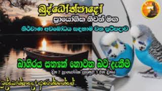 (2024-5) සෑම බෞද්ධයෙක්ම ඇසිය යුතුම දේශනාවක් 16 -  අපි හිතන දේවල් බාහිර නෑ