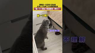 “这小家伙跟我一样大？”猫咪初次见宝宝的反应太可爱！