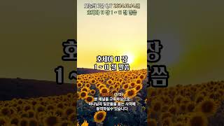 오늘의3분큐티QT 20241014 1번영상 #말씀 #성경 #QT #묵상 #진리 #생명의삶 #느헤미야