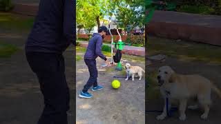 मेरा डॉग बॉल मांगने लगा😍 #funnydogs #shorts