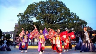 [4K]百物語②　のつきみ祭 2017 京都大学11月祭