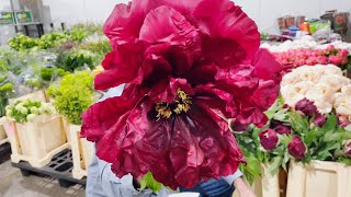 Mayesh Minute: Hephestos Peony