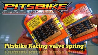 Pitsbike Racing valve spring