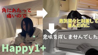 【軽キャンピングカーHappy1+】頭をぶつけて痛いので対策を試みたがもう笑うしかない