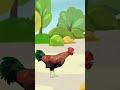 الديك بيصحى بكير - اغنية الديك بيصحى