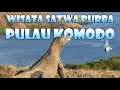 WISATA SATWA PURBA PULAU KOMODO | TAMAN NASIONAL KOMODO | #KADALPURBA