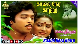 Kaalai Nera Katru Video Song | Bhagavathipuram Railway Gate Movie Songs | Karthik | Rajyalakshmi