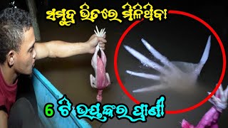 ସମୁଦ୍ର କୂଳ ରେ ମିଳିଥିବା 6 ଟି ଭୟଙ୍କର ବସ୍ତୁ |odia amazing fact| #odiafacts #odia #amoodiafact #odiagapa