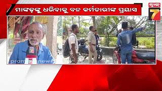 Monkey attack at Bhadrak's Charampa | ଭଦ୍ରକ ଚରମ୍ପା ଅଞ୍ଚଳରେ ମାଙ୍କଡ ଆକ୍ରମଣରେ ୧୦ଜଣ ଆହତ