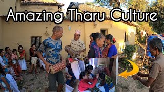 Tharu people celebrate Dashain by putting white tika on the forehead in the houses of village leader