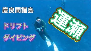 運瀬ドリフトダイビング・慶良間諸島国立公園・ディーズパルス沖縄