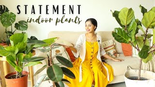 4 Of My Favorite Large Statement Plants For Indoors | How To Care For Them #gardening #plants #decor