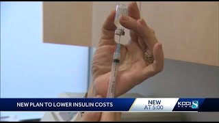 World Health Organization to ask for more insulin producers to lower its cost