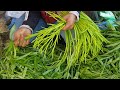 water spinach ipomoea aquatica