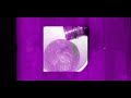 +Purple Pint+ Southside * 808Mafia Type Beat (prod. lunted)