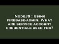 NodeJS : Using firebase-admin. What are service account credentials used for?