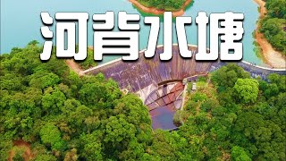 【新界行山】港版嵐山竹林, S型堤壩, 瀑布, 塘中小島, 河背水塘, Ho Pui Reservoir , 初級行山路線, 航拍, drone , Yuen Long，4K DRONE