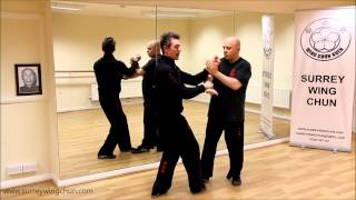 Wing Chun Kung Fu - Pak Sau / Lap Sau Drill - Part 4