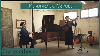 Ferdinando Carulli - Variations op.169 for piano and guitar (Duo Savigni)