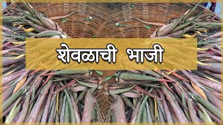 शेवळाची भाजी आदिवासी(गावठी) पद्धतीने || Shevalachi Bhaji Recipe