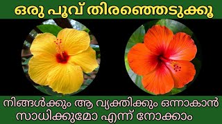 ഒരു പൂവ് തിരഞ്ഞെടുക്കൂ. നിങ്ങൾക്കും ആ വ്യക്തിക്കും ഒന്നാകാൻ സാധിക്കുമോ എന്ന് നോക്കാം