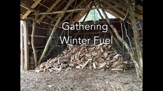 Gathering Winter Fuel