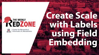 REDZone - Create Scale with Labels using Field Embedding