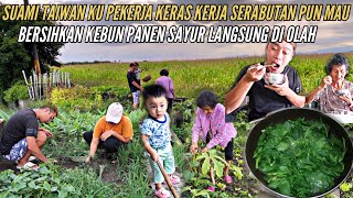 SUAMI TAIWAN KU PEKERJA KERAS BERSIHKAN KEBUN PANEN SAYUR LANGSUNG DI OLAH