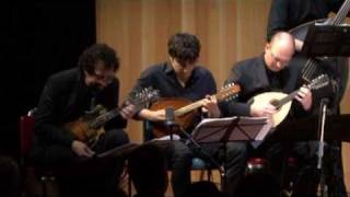 Ger Mandolin Ensemble 2011