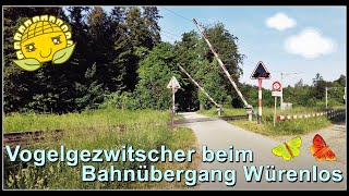 Vogelgezwitscher und eine S-Bahn beim Bahnübergang Würenlos, Kanton Aargau, Schweiz 2022