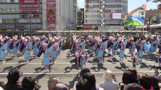 よさこい東海道2016　前日祭　大富士with雄大グループ　沼津駅南口