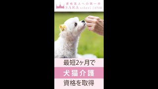 【動物介護資格】犬猫介護アドバイザー資格取得の通信講座！【SARAスクール】