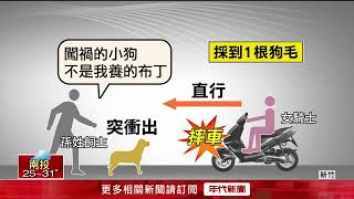 狗狗突竄出...騎士重摔不治！ 憑「狗毛」緝凶飼主遭判刑入獄