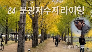 괴산 문광저수지 은행나무 (feat.돌발상황)